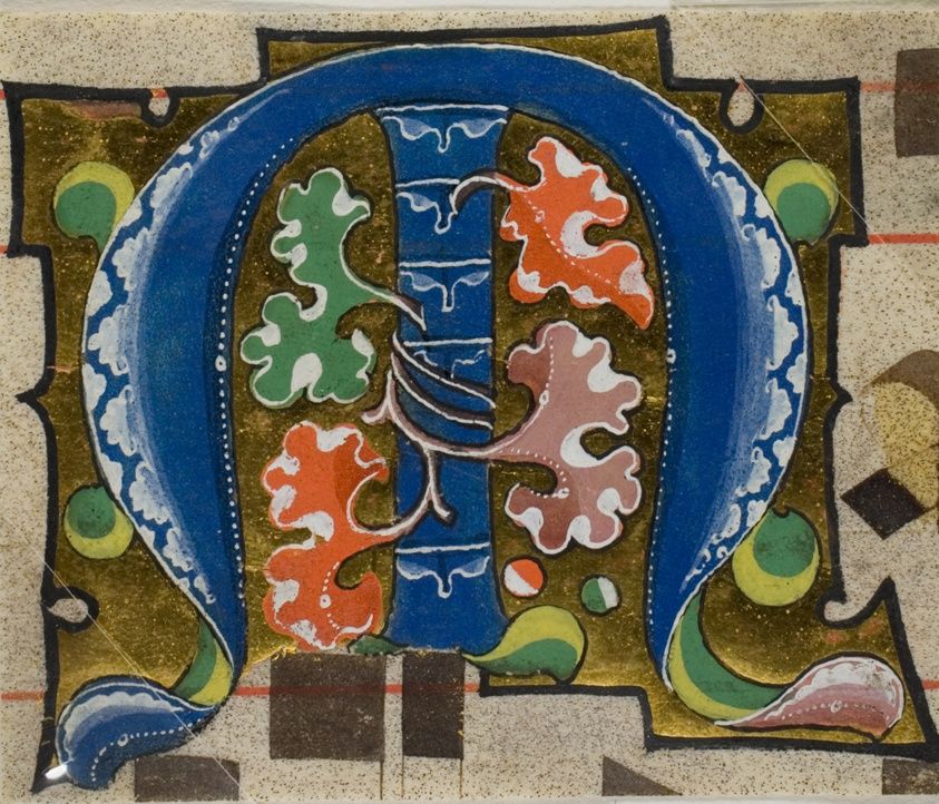 Decorated Initial "M" with Flowers from a Choirbook by Unknown artist