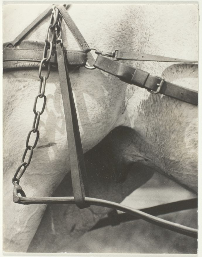 Equivalent, Spiritual America by Alfred Stieglitz
