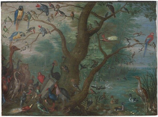 Concert of Birds by Circle of Jan van Kessel the Elder